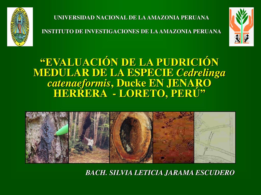 UNIVERSIDAD NACIONAL DE LA AMAZONIA PERUANA INSTITUTO DE INVESTIGACIONES DE LA AMAZONIA PERUANA