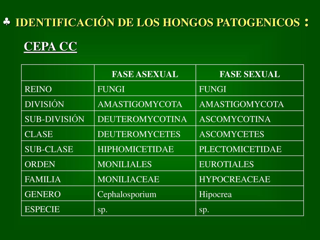 CEPA CC IDENTIFICACIÓN DE LOS HONGOS PATOGENICOS : FASE ASEXUAL