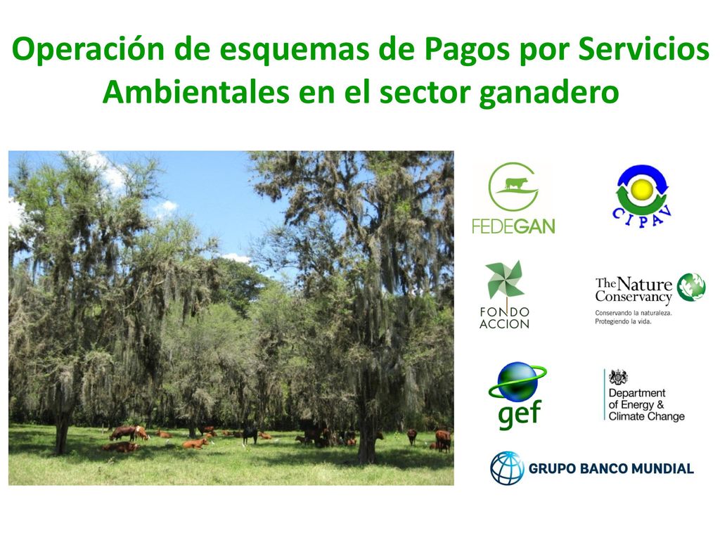 Operación de esquemas de Pagos por Servicios Ambientales en el sector ganadero