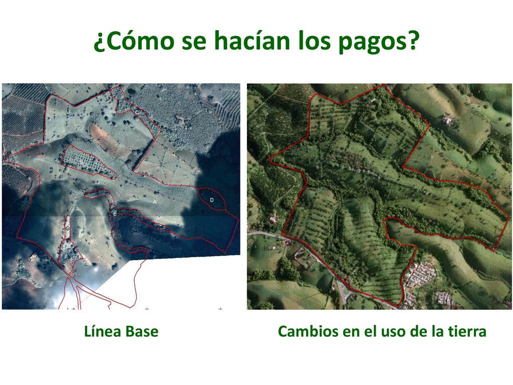¿Cómo se hacían los pagos Cambios en el uso de la tierra