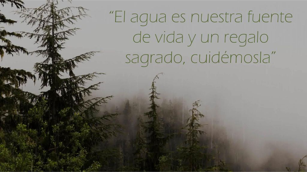 El agua es nuestra fuente de vida y un regalo sagrado, cuidémosla