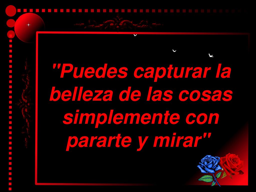 Puedes capturar la belleza de las cosas simplemente con pararte y mirar