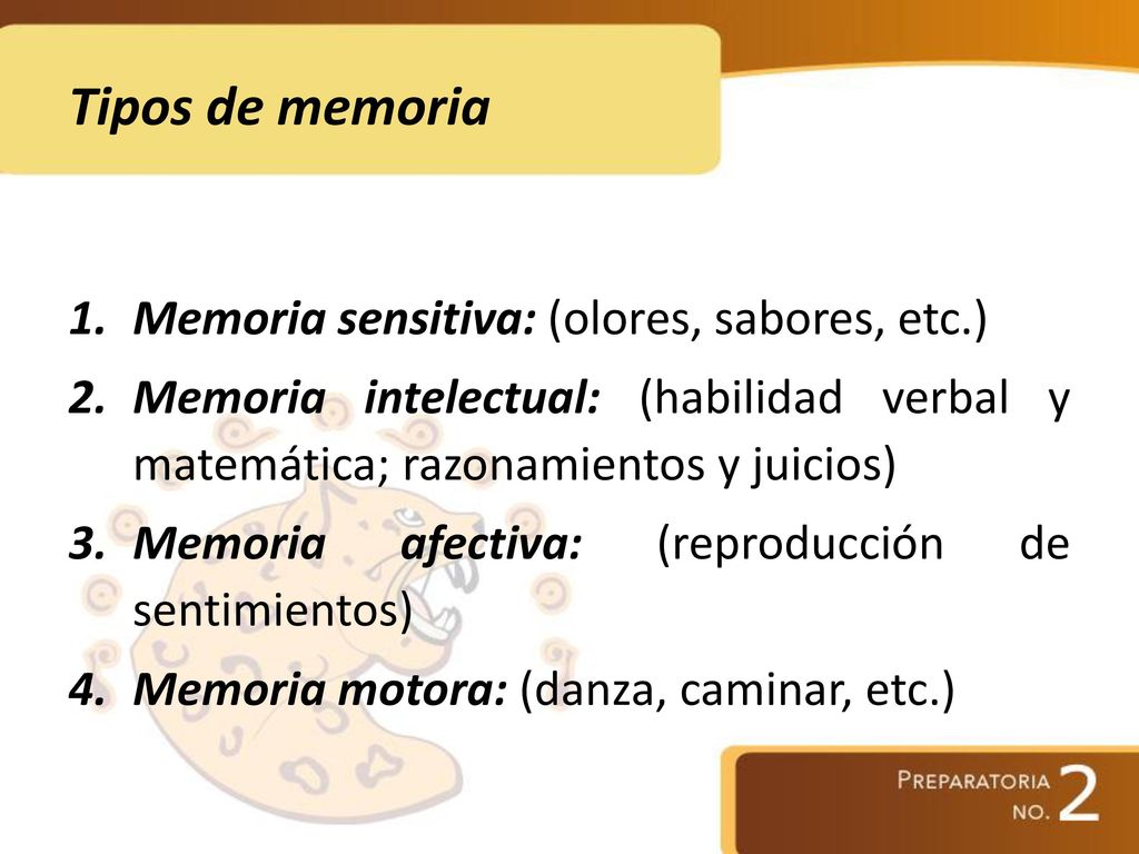 Tipos de memoria Memoria sensitiva: (olores, sabores, etc.)