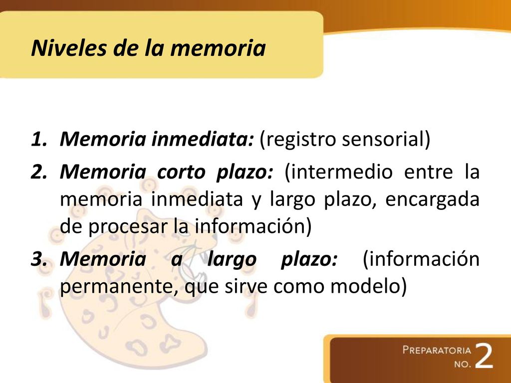 Niveles de la memoria Memoria inmediata: (registro sensorial)