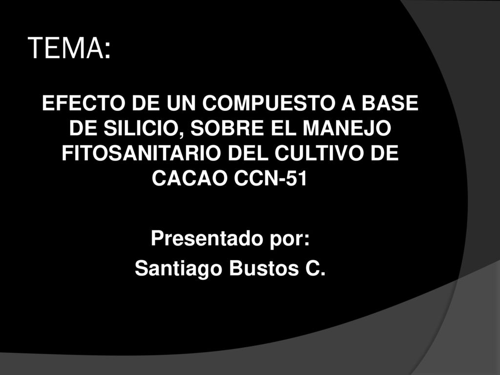 TEMA: EFECTO DE UN COMPUESTO A BASE DE SILICIO, SOBRE EL MANEJO FITOSANITARIO DEL CULTIVO DE CACAO CCN-51 Presentado por: Santiago Bustos C.