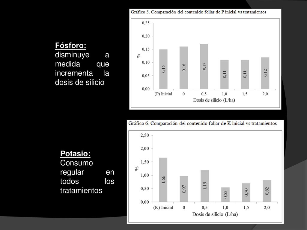 Fósforo: disminuye a medida que incrementa la dosis de silicio