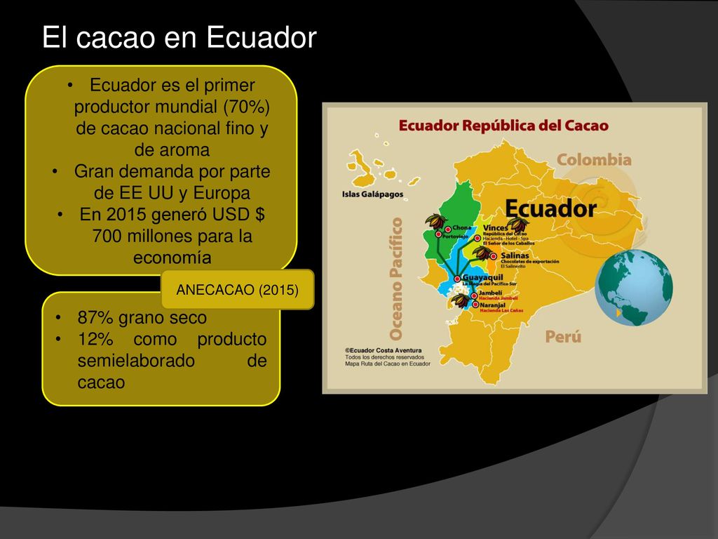 El cacao en Ecuador Ecuador es el primer productor mundial (70%) de cacao nacional fino y de aroma.