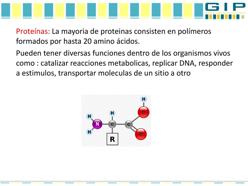 Proteínas: La mayoria de proteinas consisten en polímeros formados por hasta 20 amino ácidos.