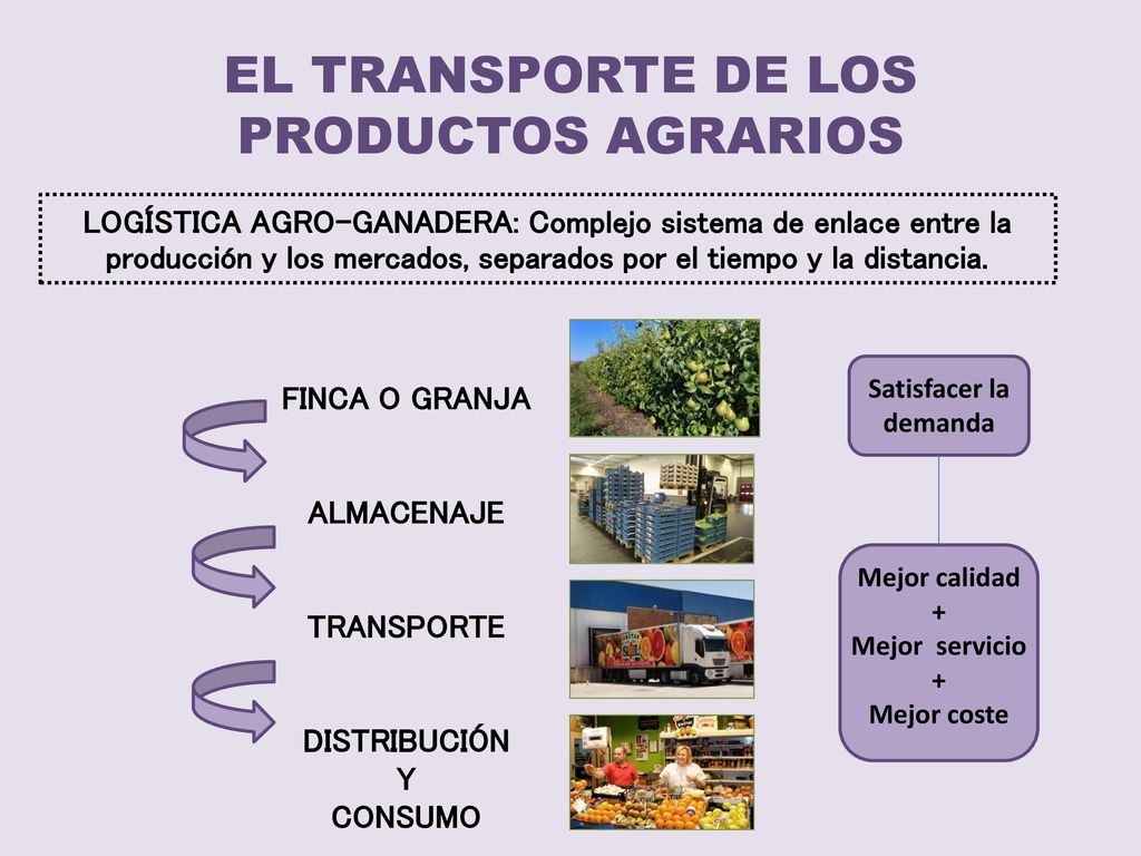 EL TRANSPORTE DE LOS PRODUCTOS AGRARIOS