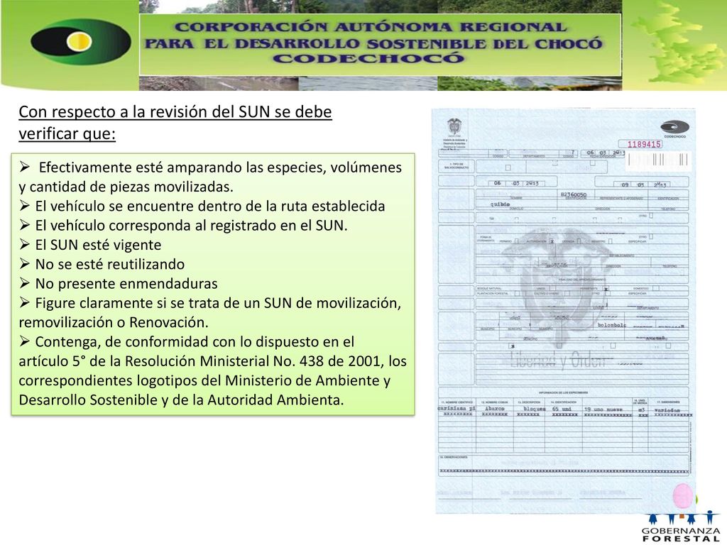 Con respecto a la revisión del SUN se debe verificar que: