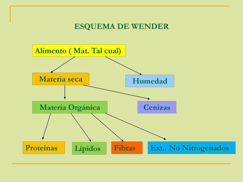 ESQUEMA DE WENDER Alimento ( Mat. Tal cual) Materia seca. Humedad. Materia Orgánica. Cenizas. Proteínas.