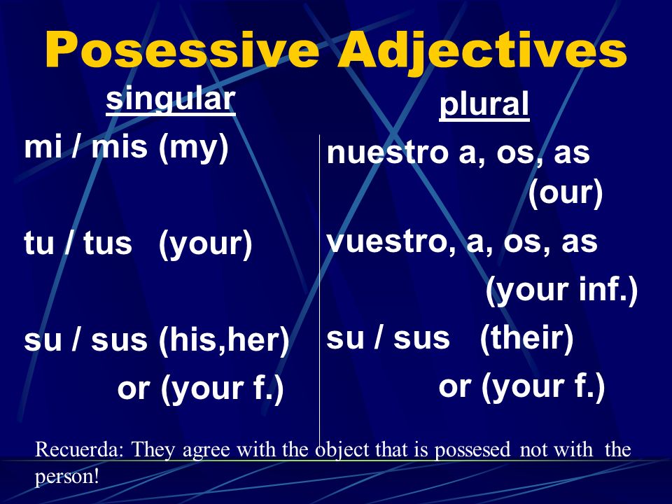 Posessive Adjectives singular plural mi / mis (my)