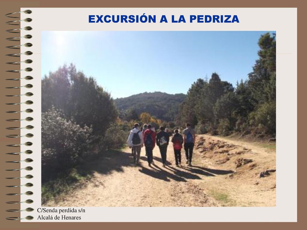 EXCURSIÓN A LA PEDRIZA C/Senda perdida s/n Alcalá de Henares