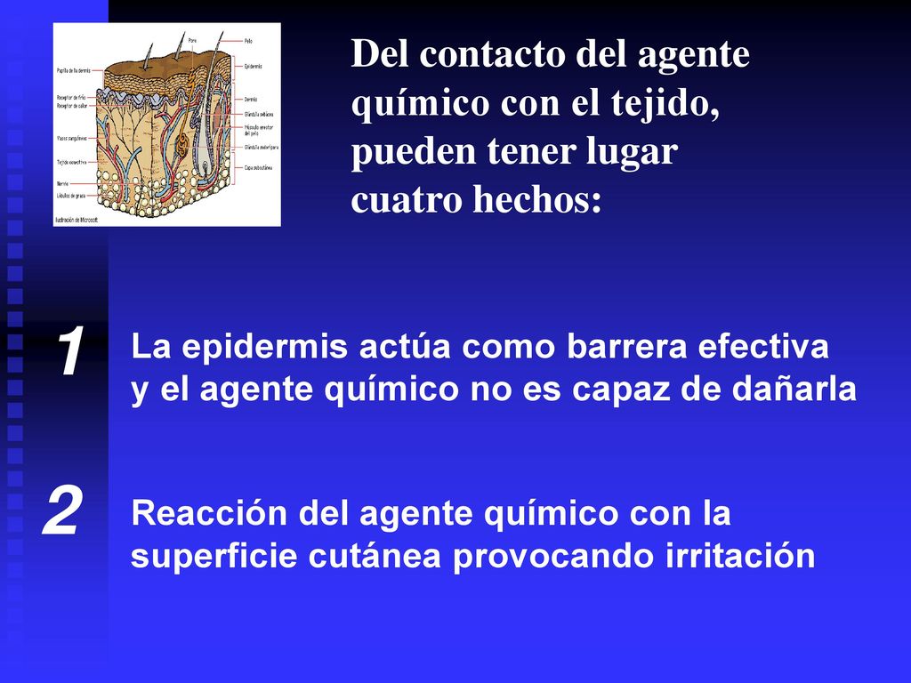 1 2 Del contacto del agente químico con el tejido, pueden tener lugar