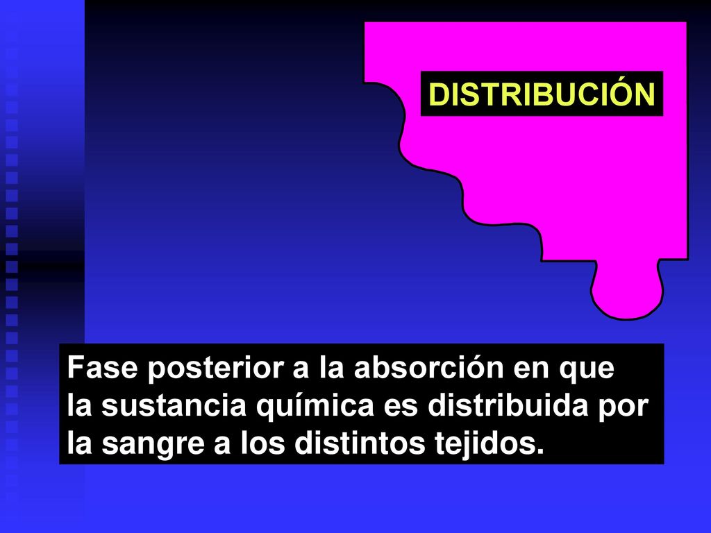 DISTRIBUCIÓN Fase posterior a la absorción en que.