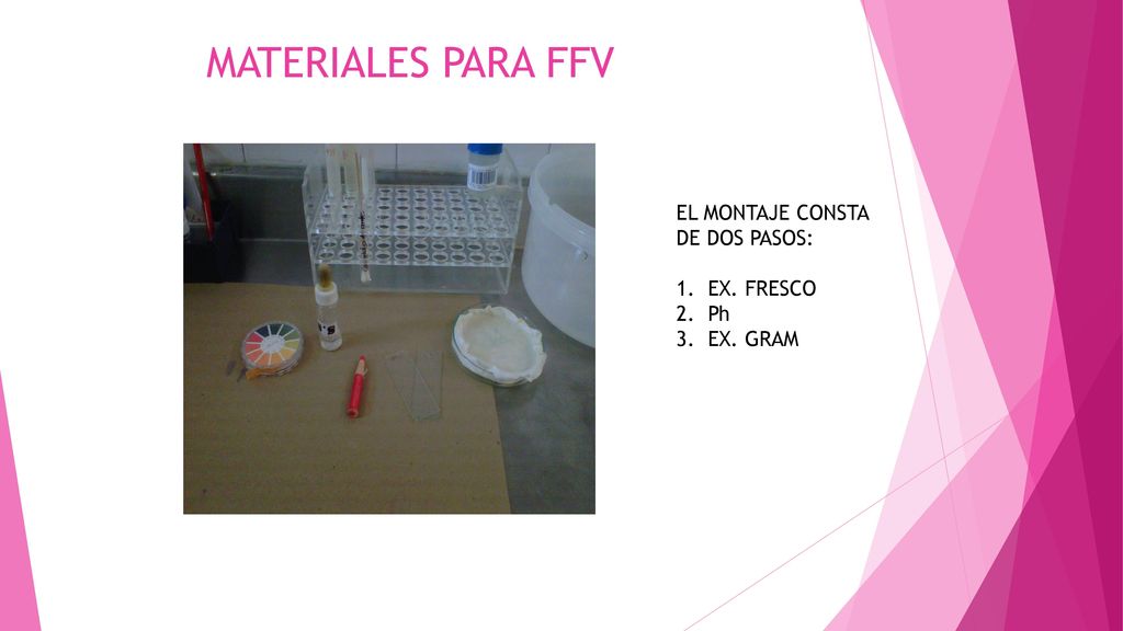 MATERIALES PARA FFV EL MONTAJE CONSTA DE DOS PASOS: EX. FRESCO Ph