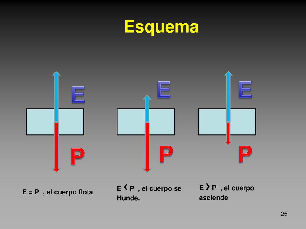 E P E P E P Esquema E ‹ P , el cuerpo se E › P , el cuerpo asciende
