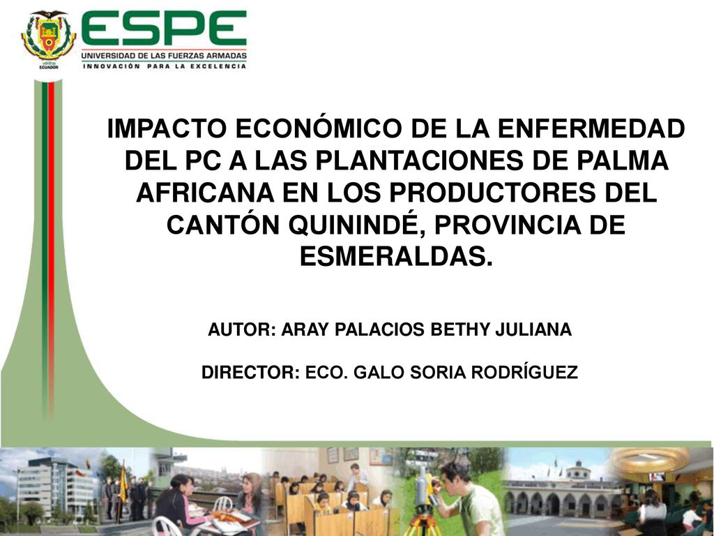 AUTOR: ARAY PALACIOS BETHY JULIANA DIRECTOR: ECO. GALO SORIA RODRÍGUEZ
