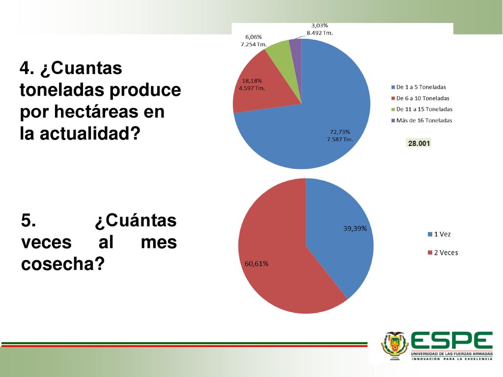 4. ¿Cuantas toneladas produce por hectáreas en la actualidad
