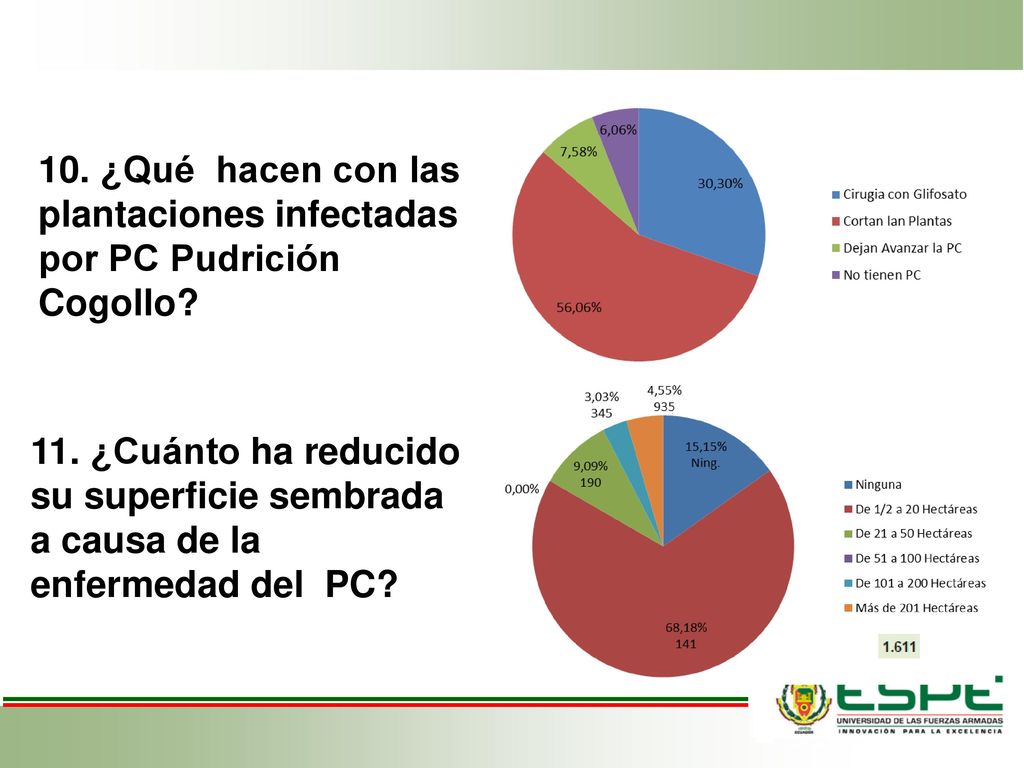 10. ¿Qué hacen con las plantaciones infectadas por PC Pudrición Cogollo