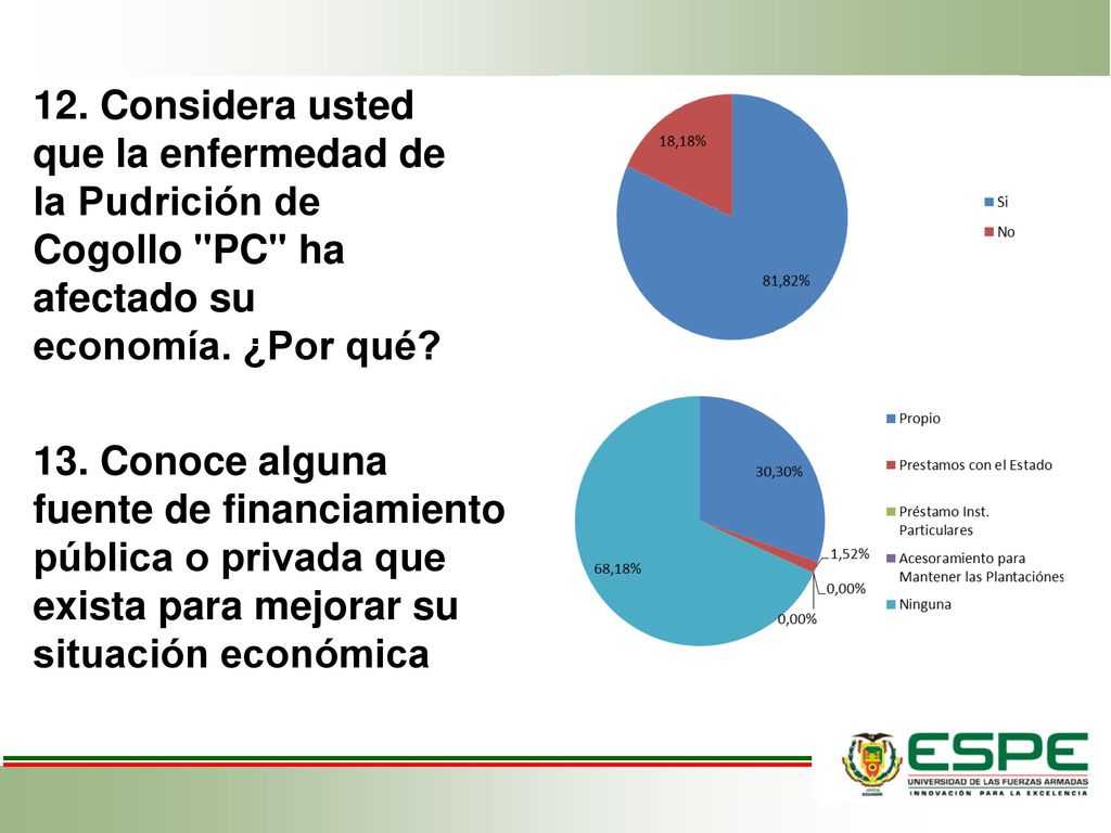 12. Considera usted que la enfermedad de la Pudrición de Cogollo PC ha afectado su economía. ¿Por qué