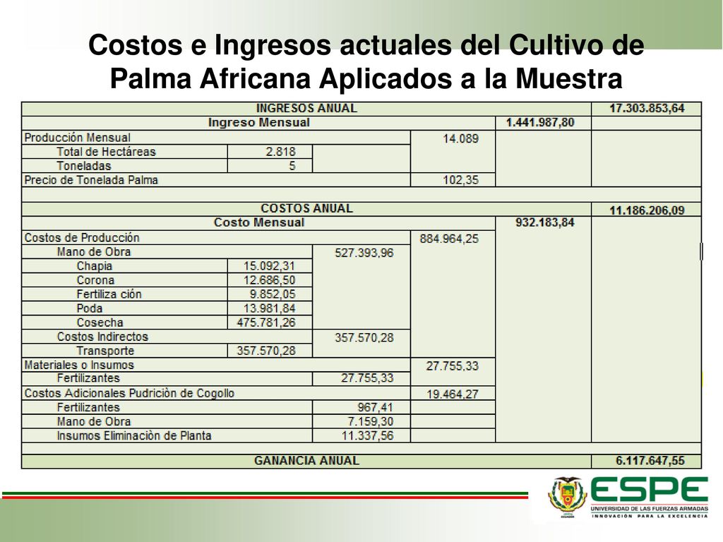 Costos e Ingresos actuales del Cultivo de Palma Africana Aplicados a la Muestra