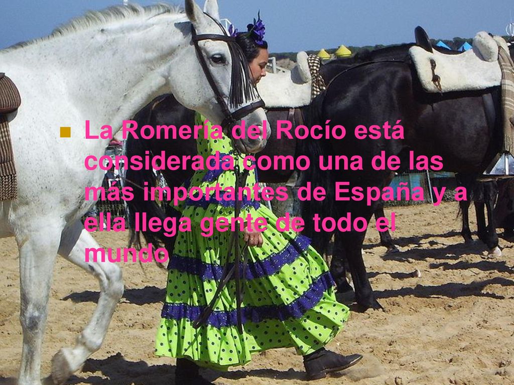 La Romería del Rocío está considerada como una de las más importantes de España y a ella llega gente de todo el mundo