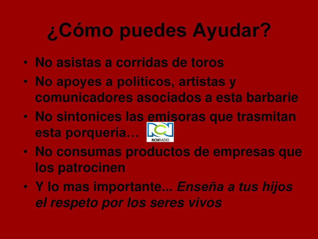 ¿Cómo puedes Ayudar No asistas a corridas de toros