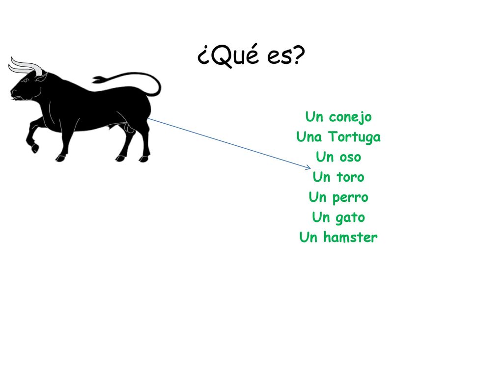 ¿Qué es Un conejo Una Tortuga Un oso Un toro Un perro Un gato