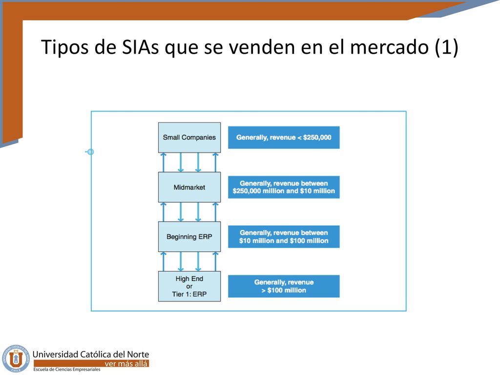 Tipos de SIAs que se venden en el mercado (1)