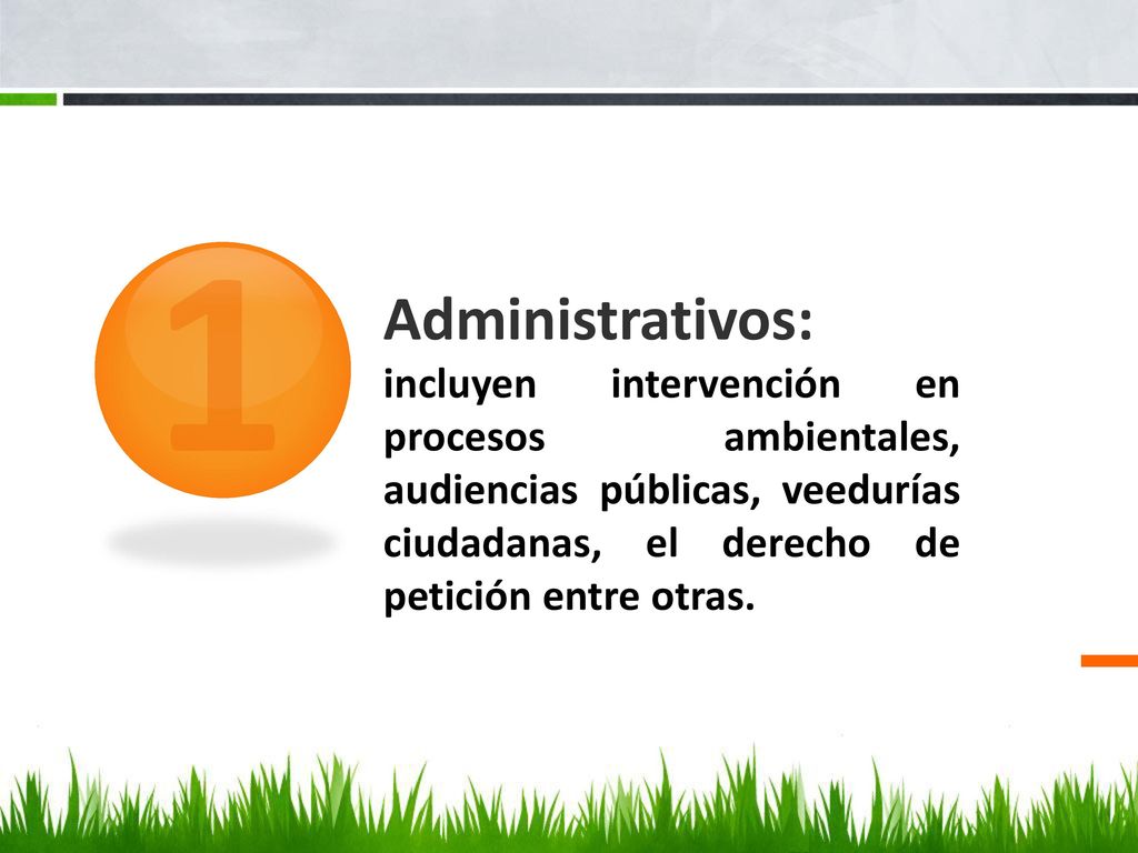 1 Administrativos: incluyen intervención en procesos ambientales, audiencias públicas, veedurías ciudadanas, el derecho de petición entre otras.