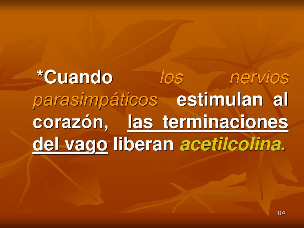 *Cuando los nervios parasimpáticos estimulan al corazón, las terminaciones del vago liberan acetilcolina.