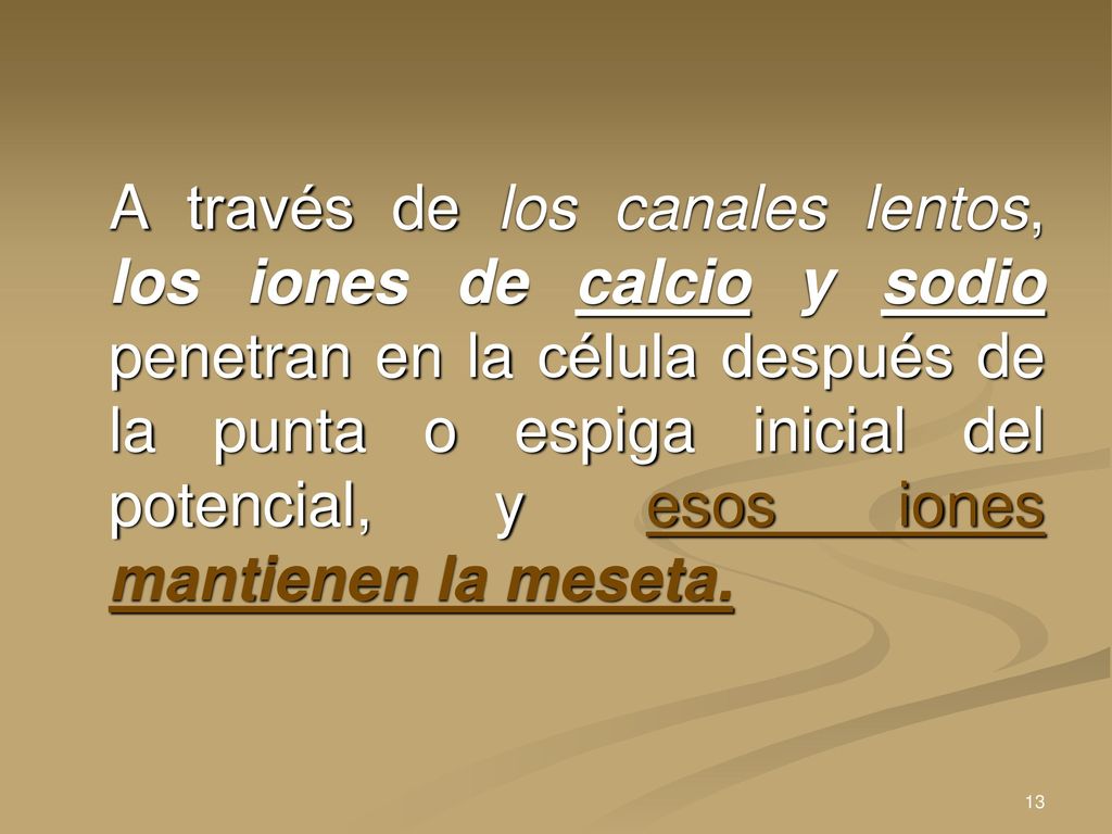 A través de los canales lentos, los iones de calcio y sodio penetran en la célula después de la punta o espiga inicial del potencial, y esos iones mantienen la meseta.
