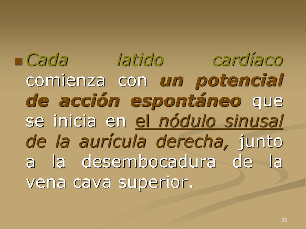 Cada latido cardíaco comienza con un potencial de acción espontáneo que se inicia en el nódulo sinusal de la aurícula derecha, junto a la desembocadura de la vena cava superior.