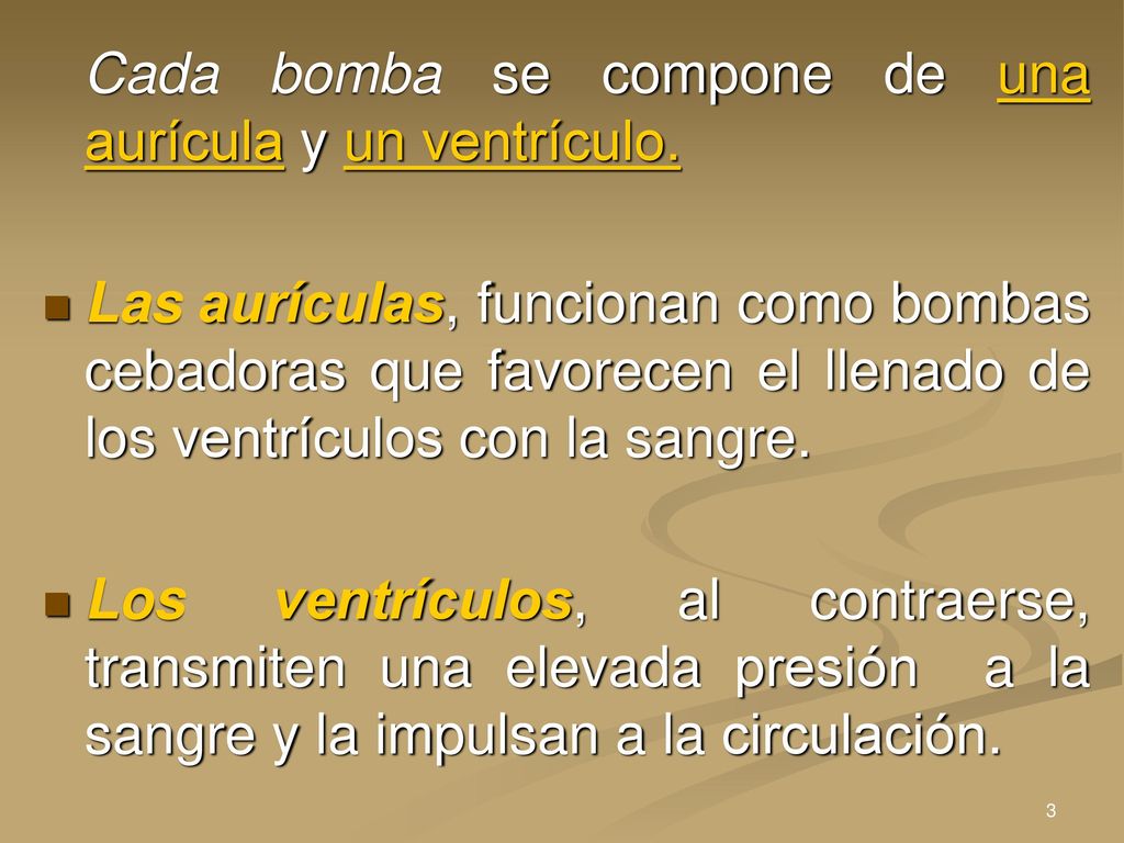 Cada bomba se compone de una aurícula y un ventrículo.