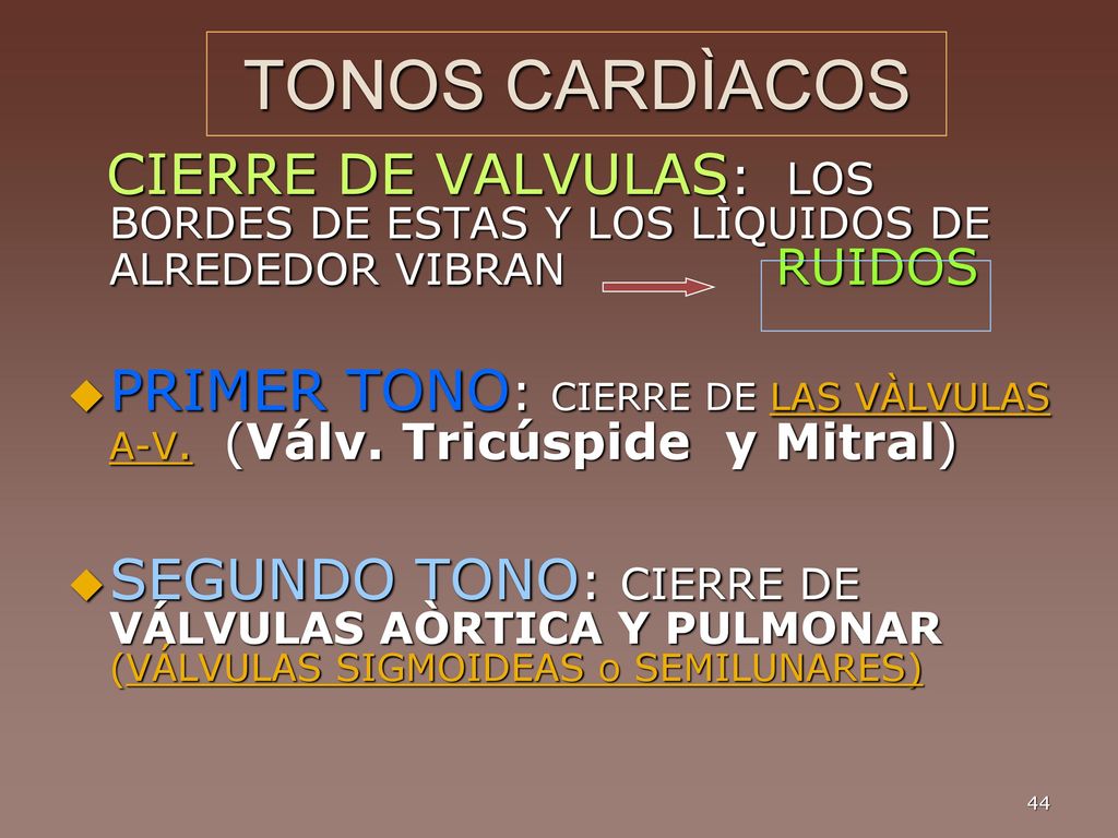 TONOS CARDÌACOS CIERRE DE VALVULAS: LOS BORDES DE ESTAS Y LOS LÌQUIDOS DE ALREDEDOR VIBRAN RUIDOS.