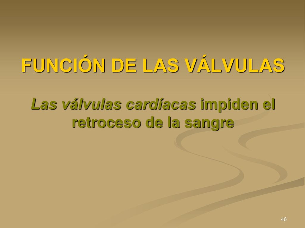 FUNCIÓN DE LAS VÁLVULAS Las válvulas cardíacas impiden el retroceso de la sangre