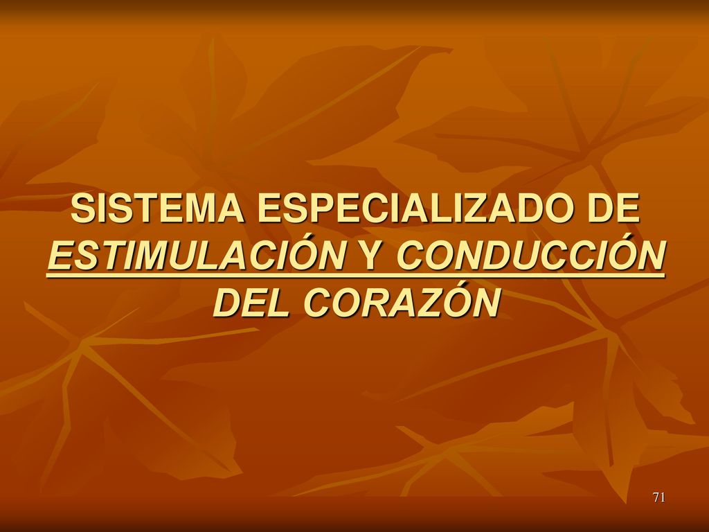 SISTEMA ESPECIALIZADO DE ESTIMULACIÓN Y CONDUCCIÓN DEL CORAZÓN