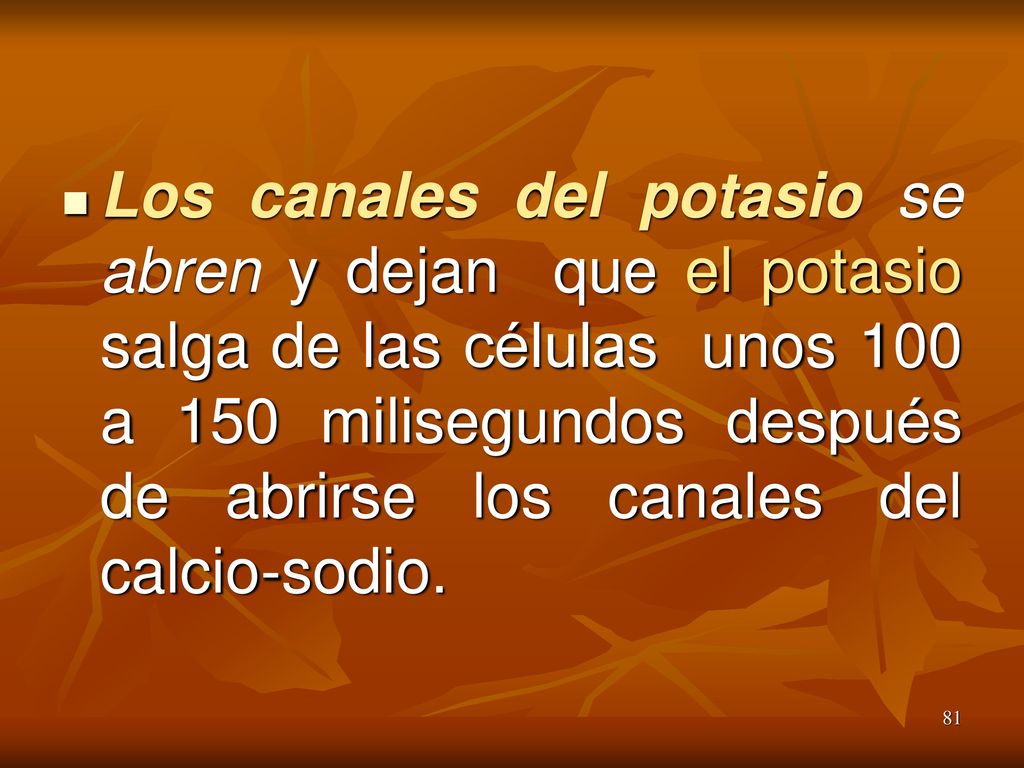 Los canales del potasio se abren y dejan que el potasio salga de las células unos 100 a 150 milisegundos después de abrirse los canales del calcio-sodio.