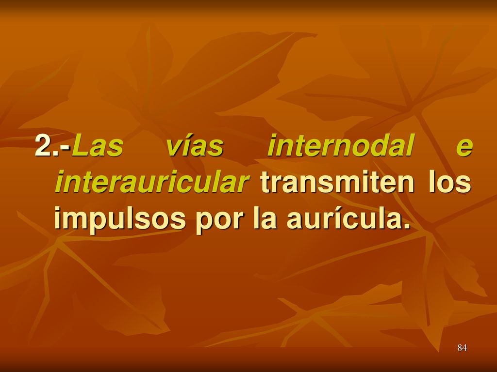 2.-Las vías internodal e interauricular transmiten los impulsos por la aurícula.