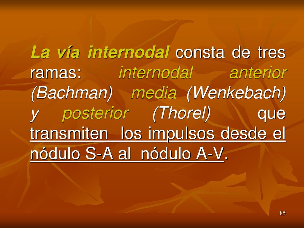 La vía internodal consta de tres ramas: internodal anterior (Bachman) media (Wenkebach) y posterior (Thorel) que transmiten los impulsos desde el nódulo S-A al nódulo A-V.