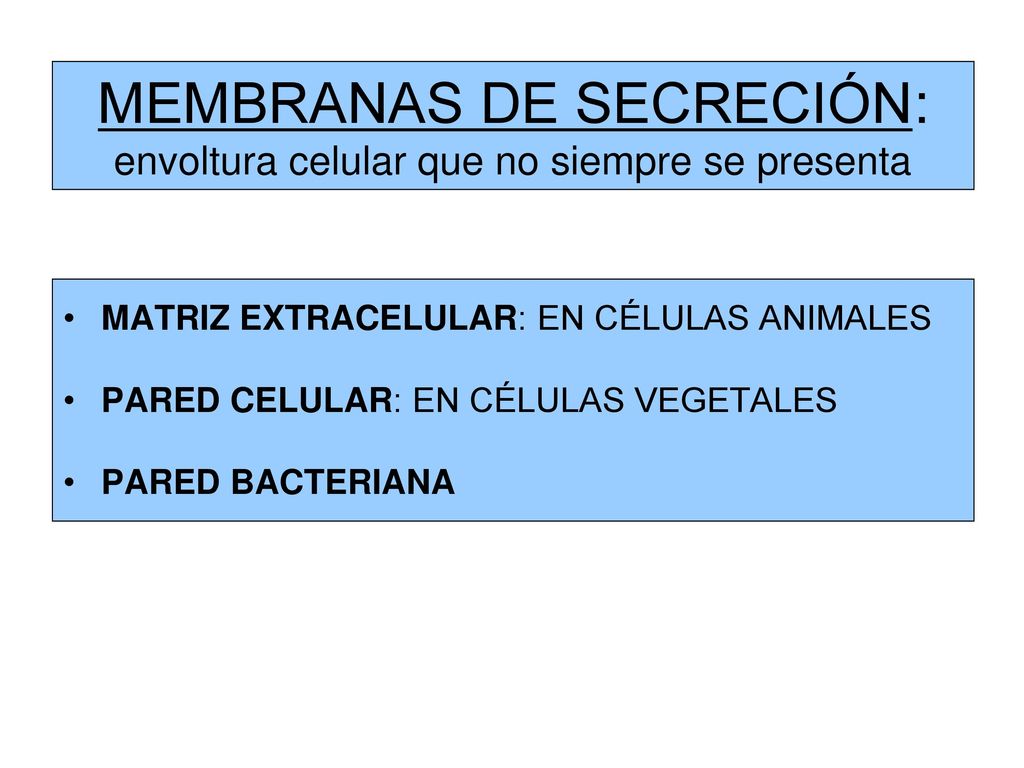 MEMBRANAS DE SECRECIÓN: envoltura celular que no siempre se presenta