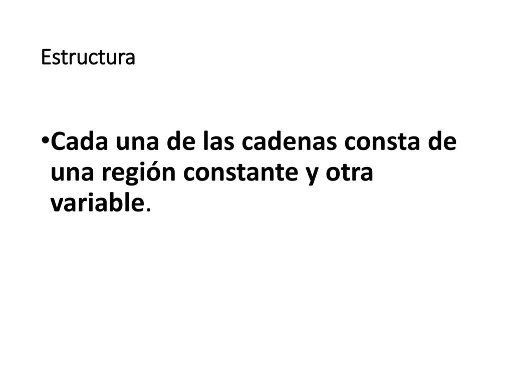 Estructura Cada una de las cadenas consta de una región constante y otra variable.