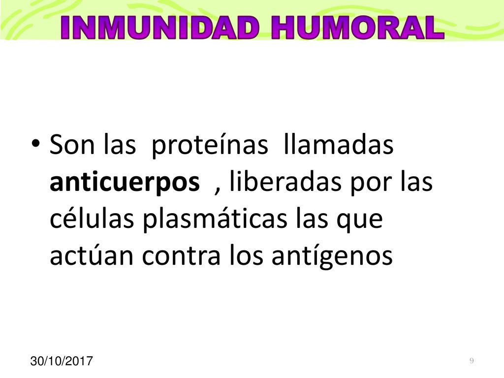 INMUNIDAD HUMORAL Son las proteínas llamadas anticuerpos , liberadas por las células plasmáticas las que actúan contra los antígenos.