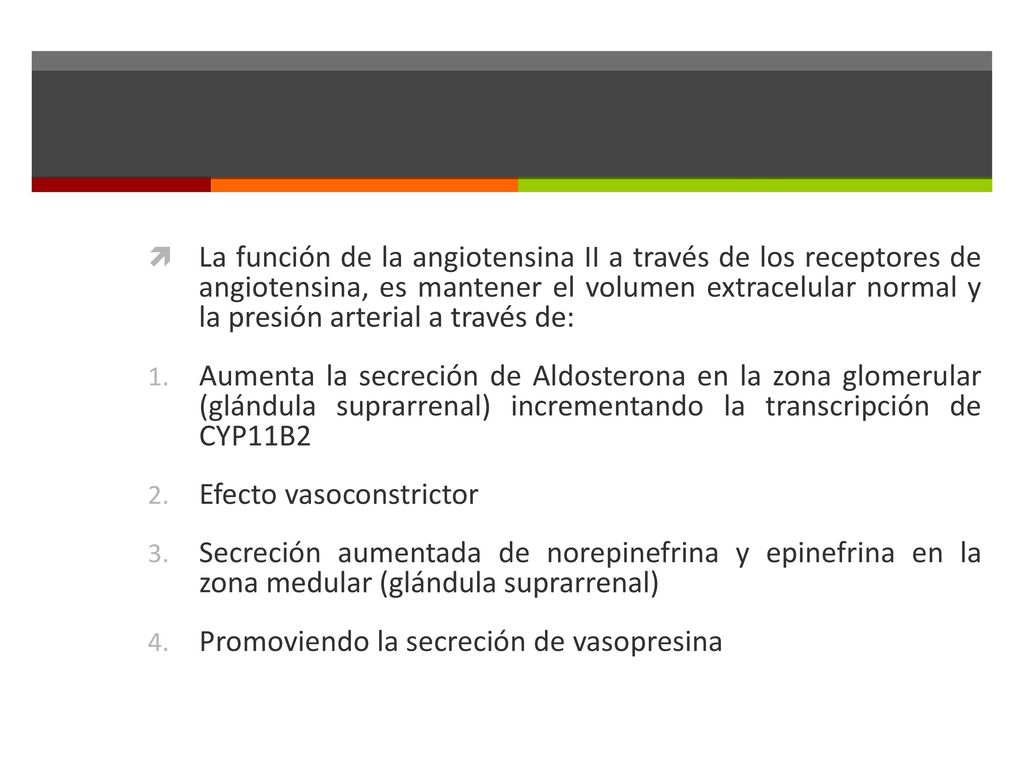 La función de la angiotensina II a través de los receptores de angiotensina, es mantener el volumen extracelular normal y la presión arterial a través de: