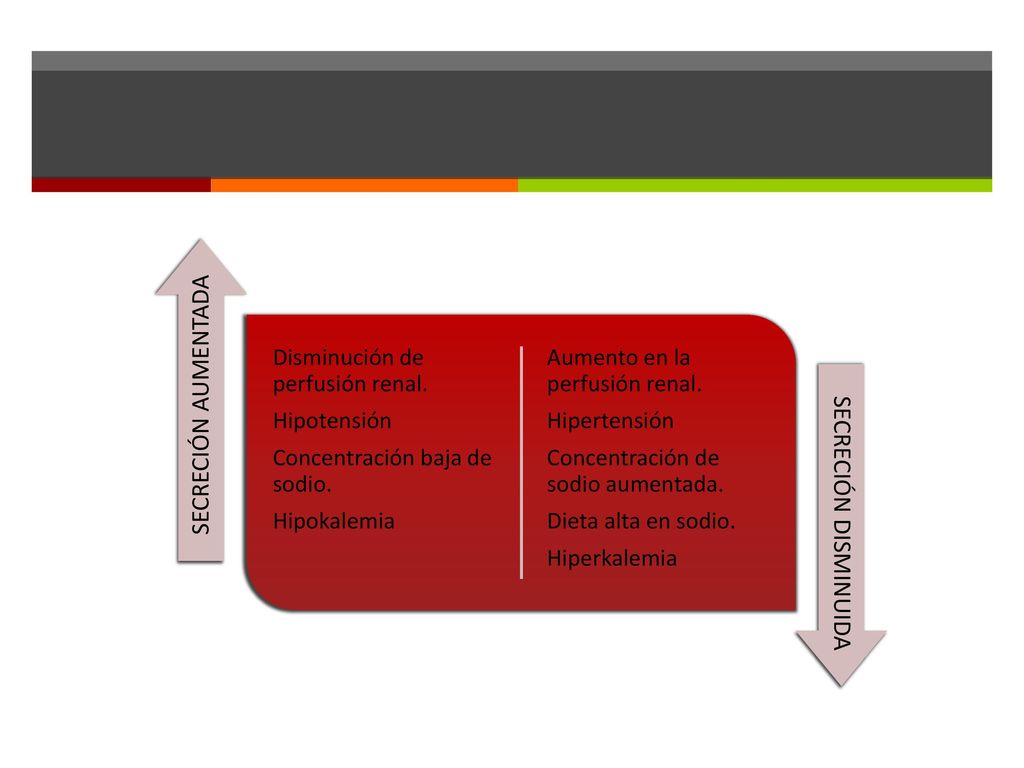 SECRECIÓN AUMENTADA Hipokalemia. Concentración baja de sodio. Hipotensión. Disminución de perfusión renal.