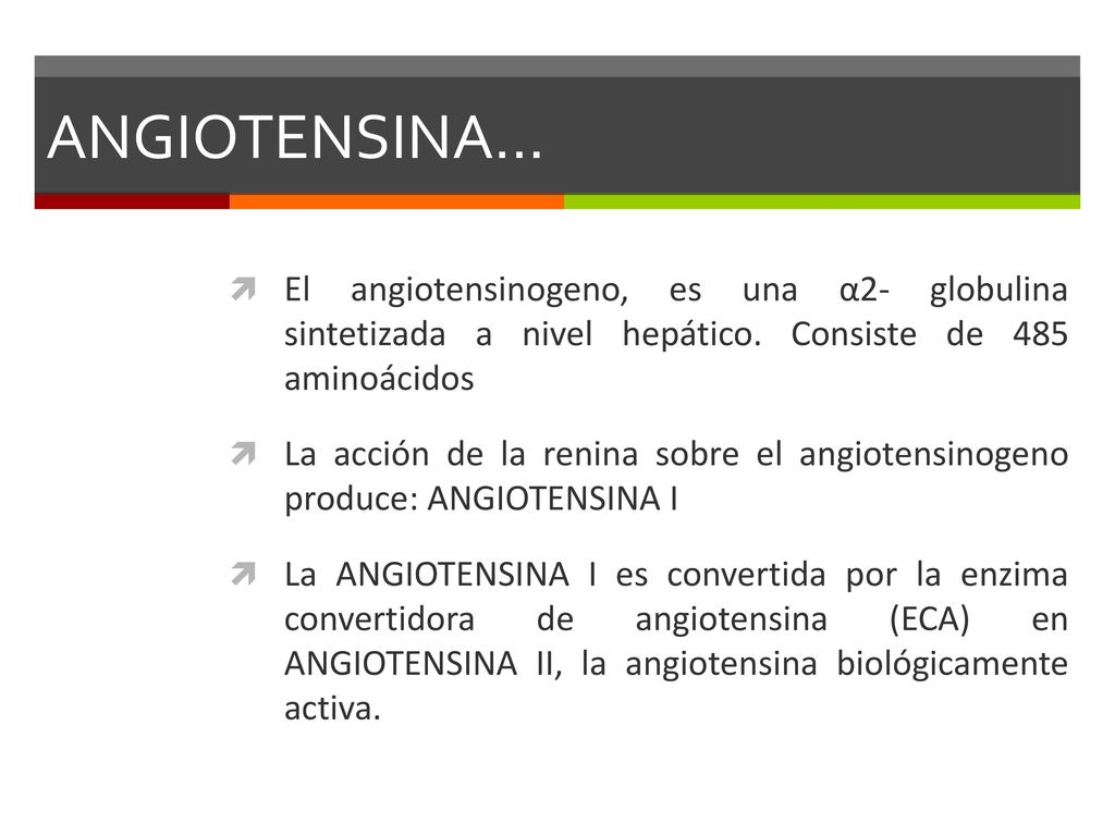 ANGIOTENSINA… El angiotensinogeno, es una α2- globulina sintetizada a nivel hepático. Consiste de 485 aminoácidos.
