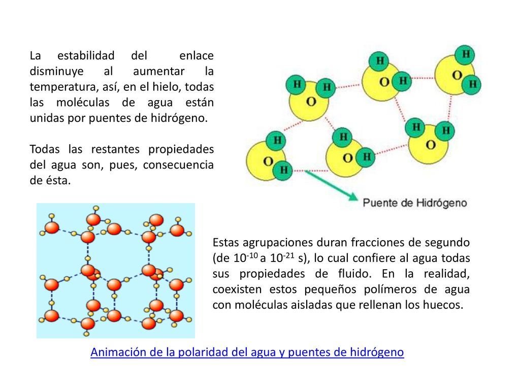 La estabilidad del enlace disminuye al aumentar la temperatura, así, en el hielo, todas las moléculas de agua están unidas por puentes de hidrógeno.