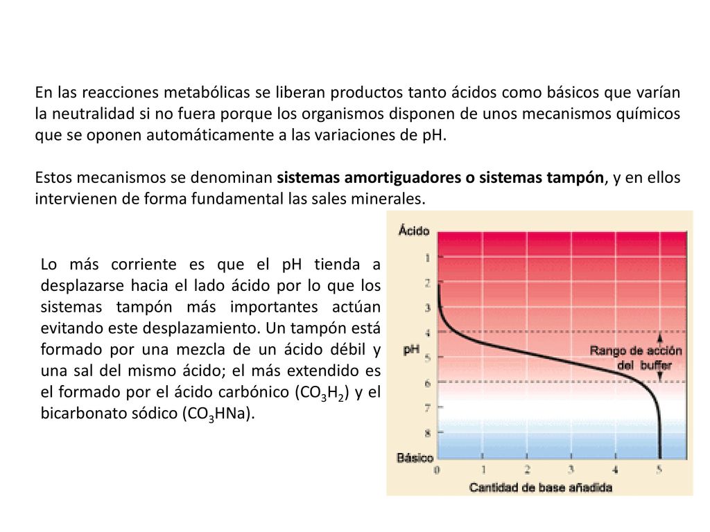 En las reacciones metabólicas se liberan productos tanto ácidos como básicos que varían la neutralidad si no fuera porque los organismos disponen de unos mecanismos químicos que se oponen automáticamente a las variaciones de pH.