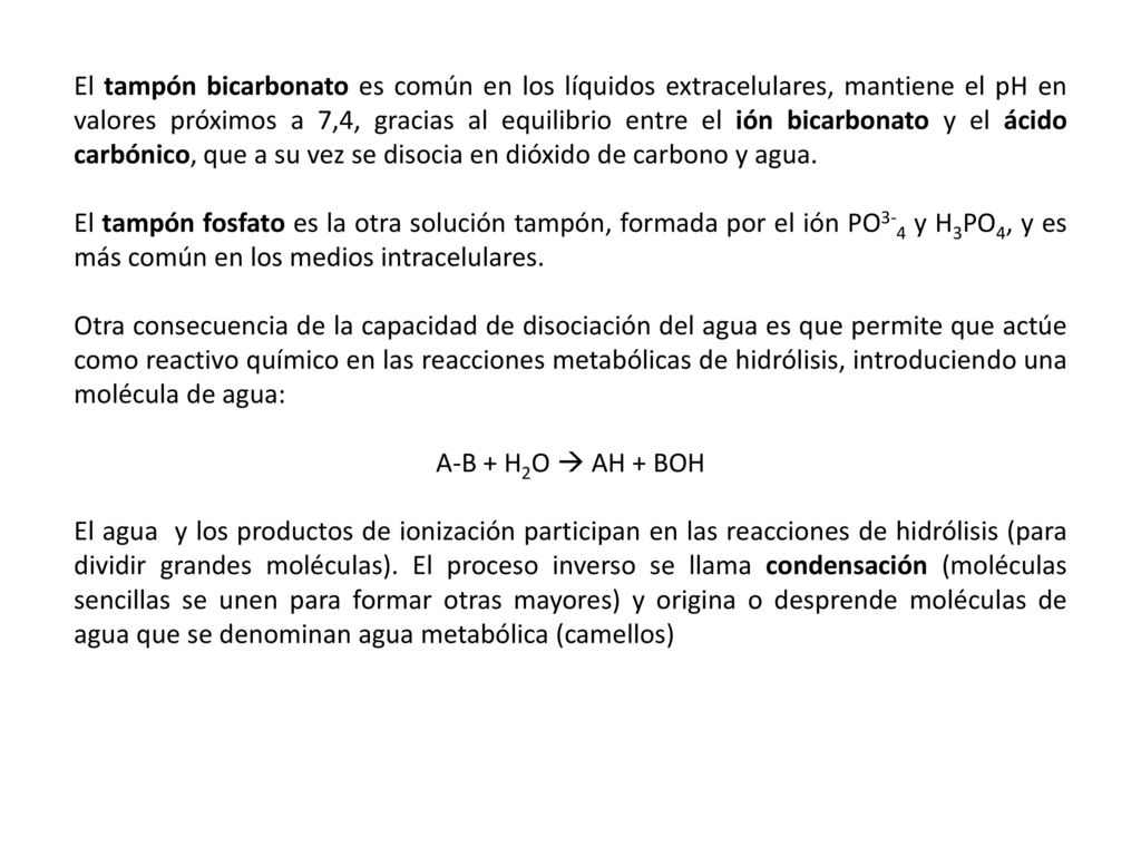 El tampón bicarbonato es común en los líquidos extracelulares, mantiene el pH en valores próximos a 7,4, gracias al equilibrio entre el ión bicarbonato y el ácido carbónico, que a su vez se disocia en dióxido de carbono y agua.